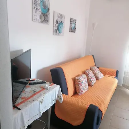 Apartment Simple And Very Olbia