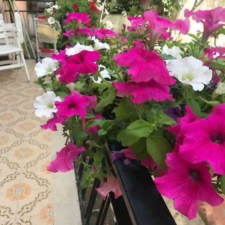 Simple And Very Appartamento Olbia